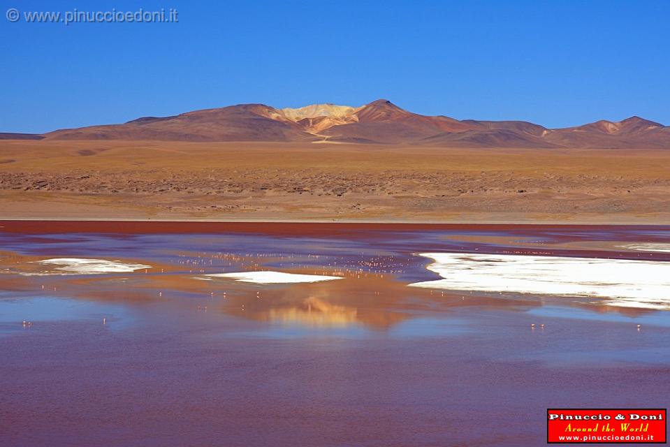 BOLIVIA 2 - Laguna Colorada - 13.jpg